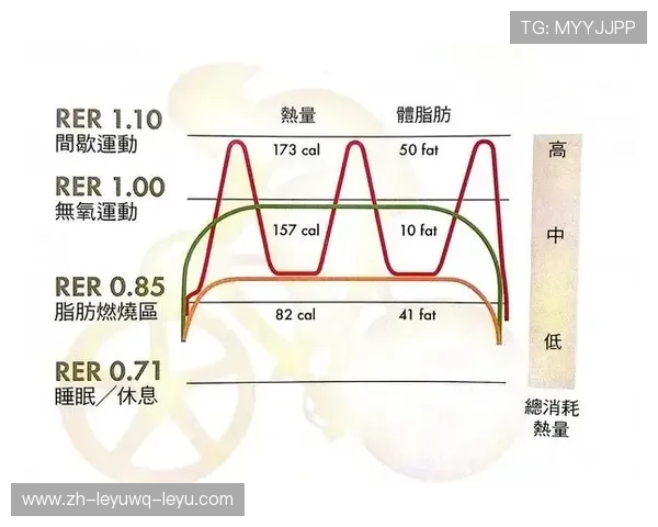 高强度间歇训练促进脂肪燃烧的原理