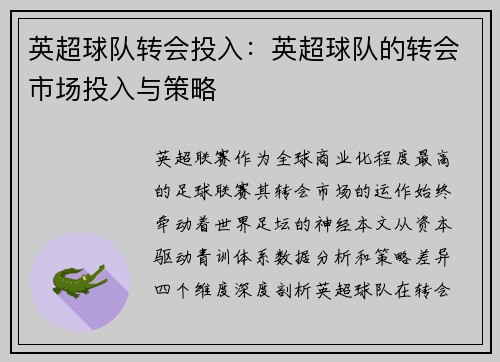 英超球队转会投入：英超球队的转会市场投入与策略