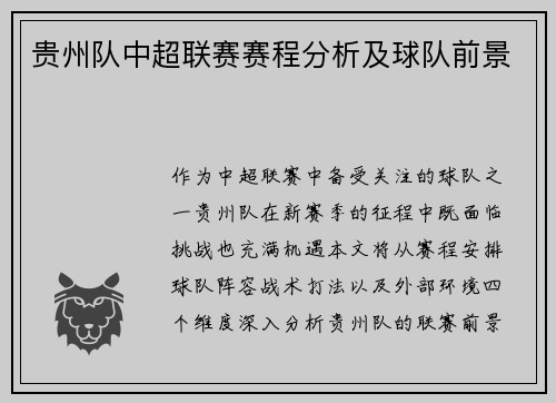 贵州队中超联赛赛程分析及球队前景